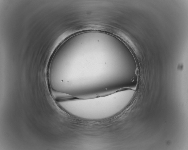 X0000097801283200803141046