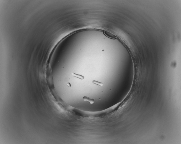 X0000097801284200803141046