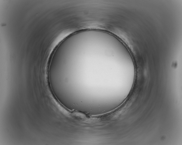 X0000097801285200803141046