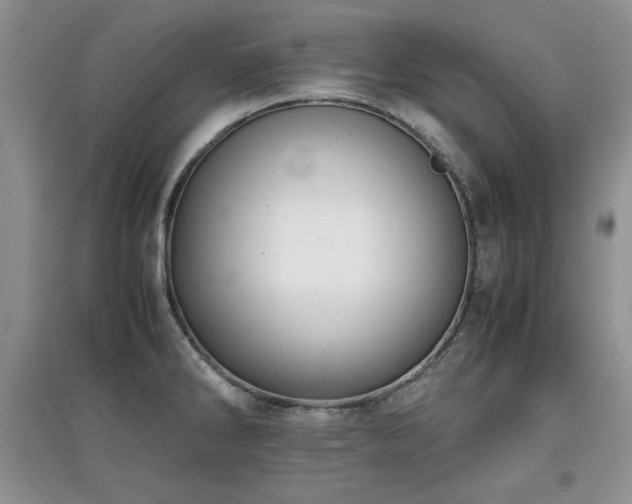 X0000097801286200803141046