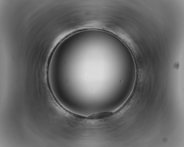 X0000097801288200803141045
