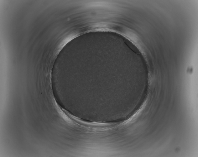 X0000097801289200803141045