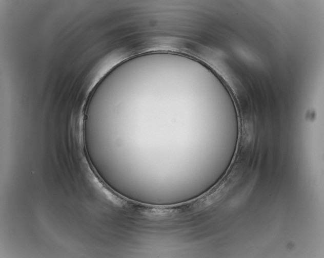 X0000097801290200803141045