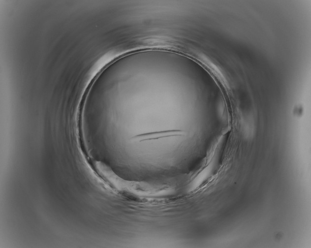 X0000097801291200803141045
