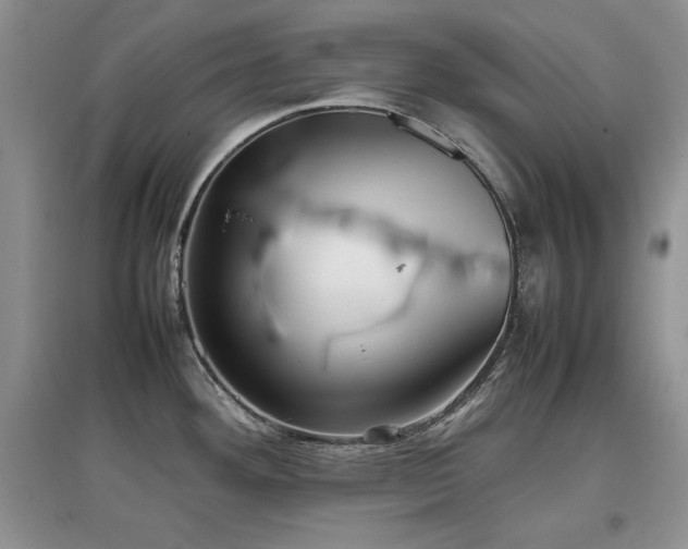 X0000097801292200803141045