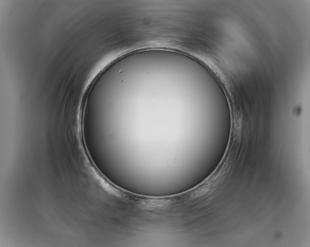 X0000097801294200803141045