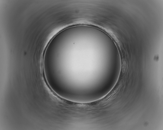 X0000097801295200803141045