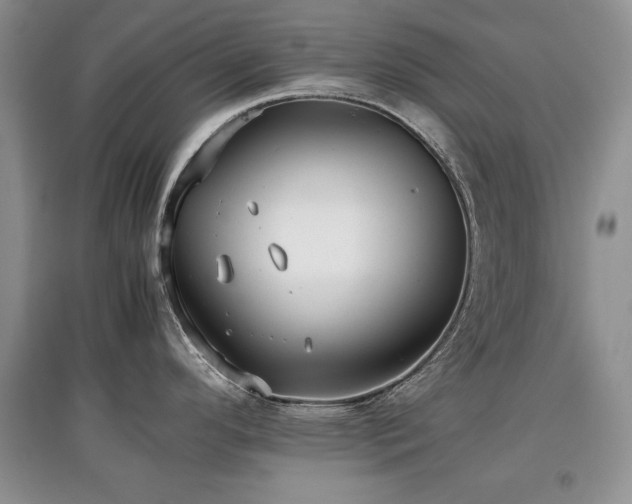 X0000097801296200803141045