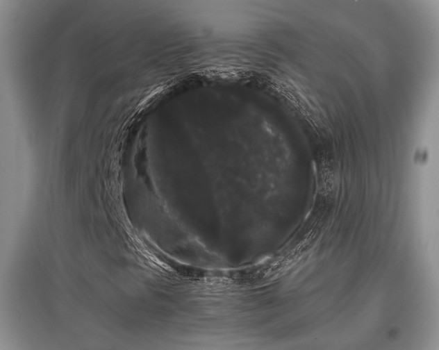 X0000097801297200803141045