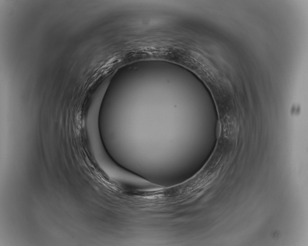 X0000097801298200803141045
