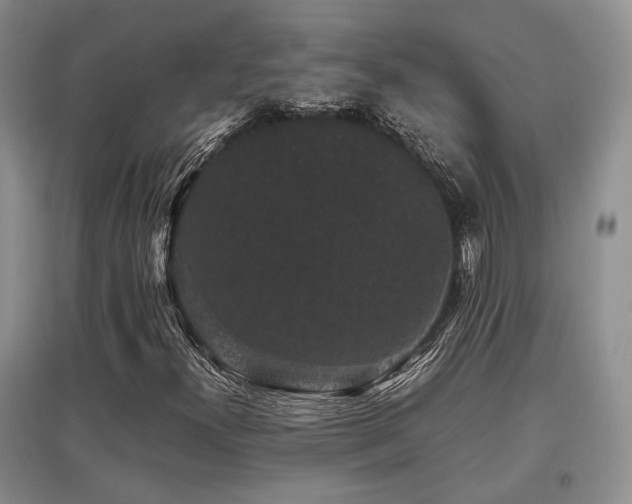 X0000097801300200803141045