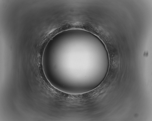X0000097801301200803141045