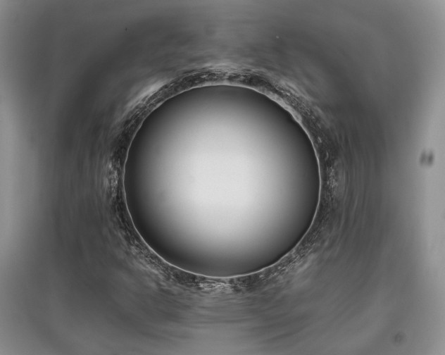 X0000097801302200803141045