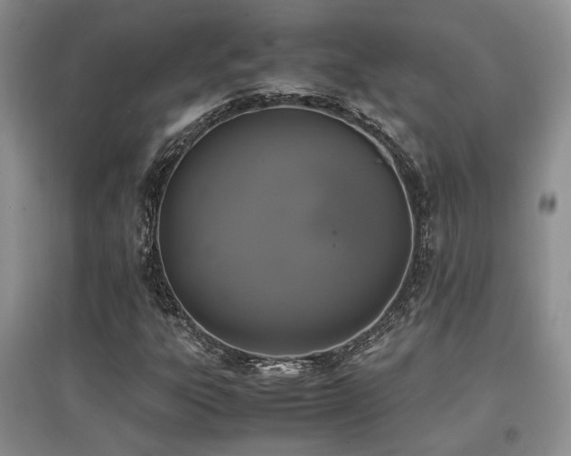 X0000097801303200803141045