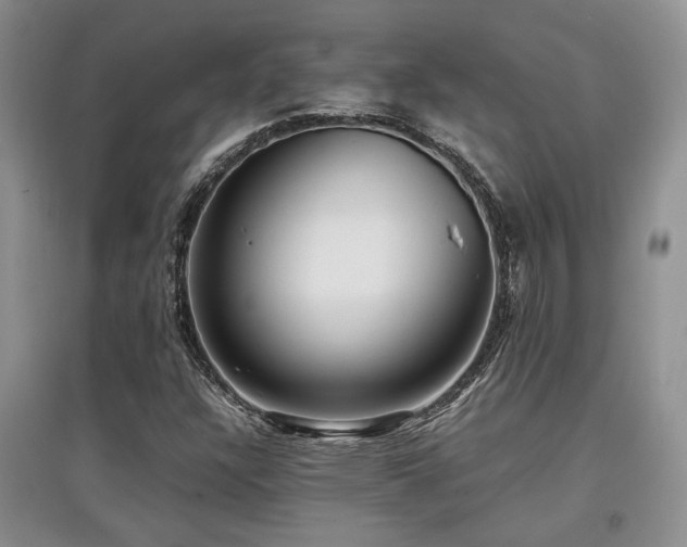 X0000097801304200803141045