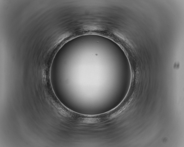 X0000097801305200803141045