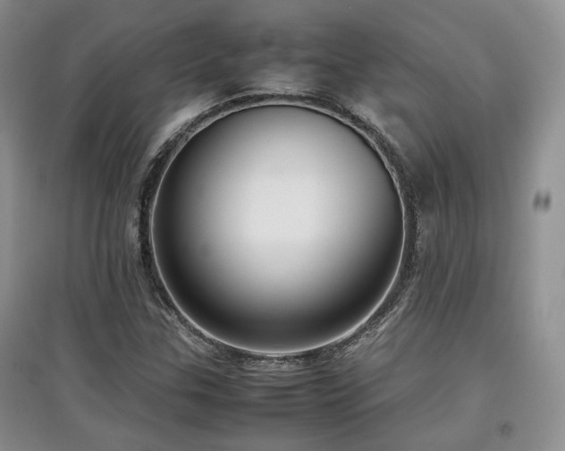 X0000097801307200803141045
