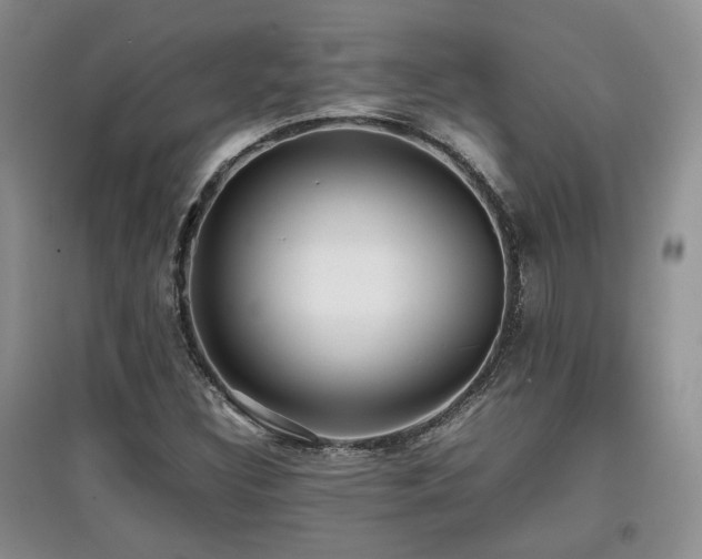 X0000097801308200803141045