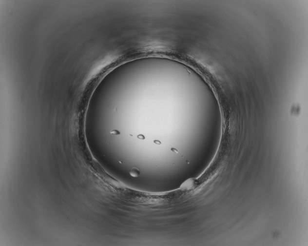 X0000097801309200803141045