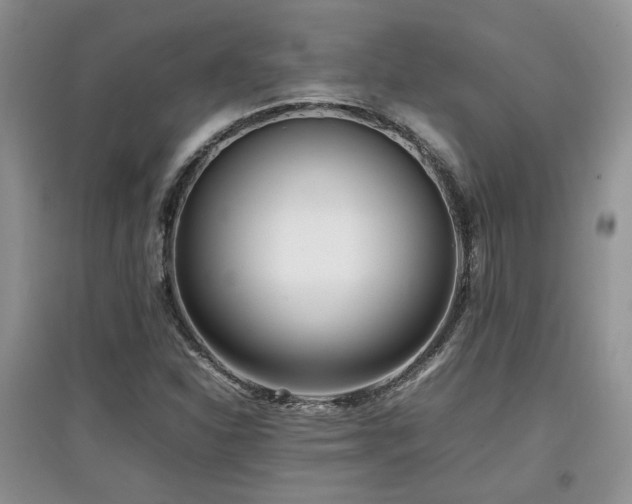 X0000097801310200803141045