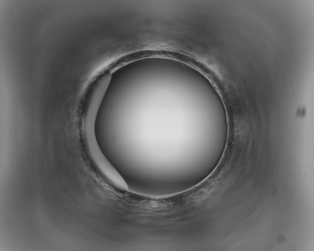 X0000097801311200803141045
