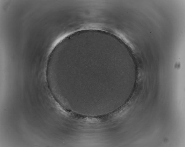 X0000097801312200803141045