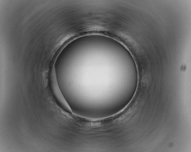 X0000097801313200803141045