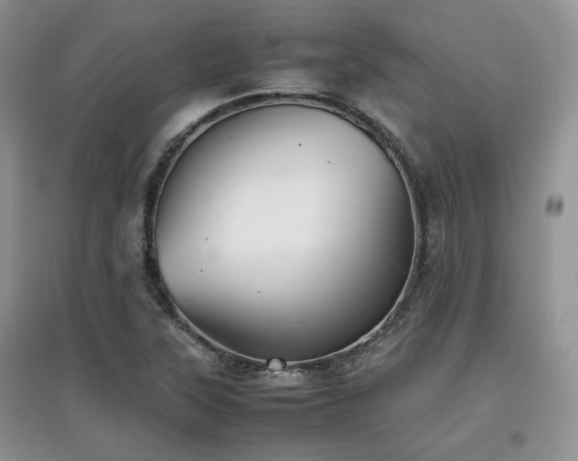 X0000097801315200803141045