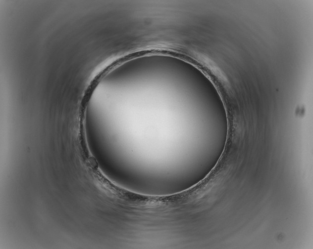 X0000097801316200803141045