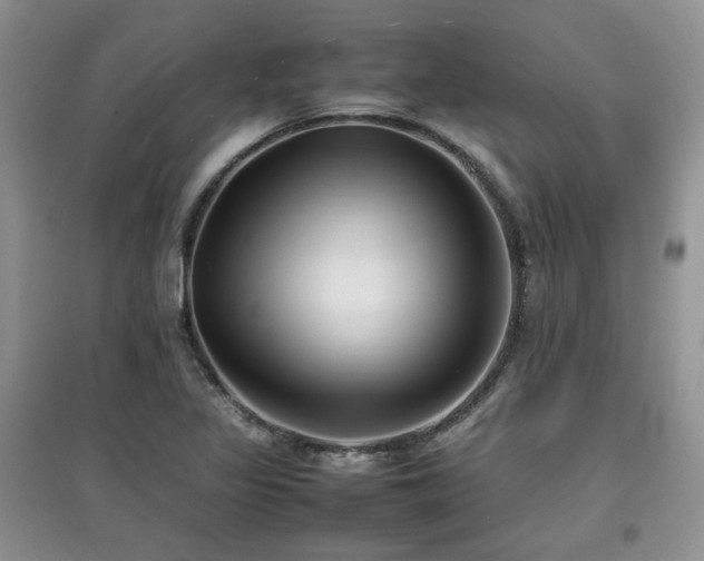 X0000097801317200803141045