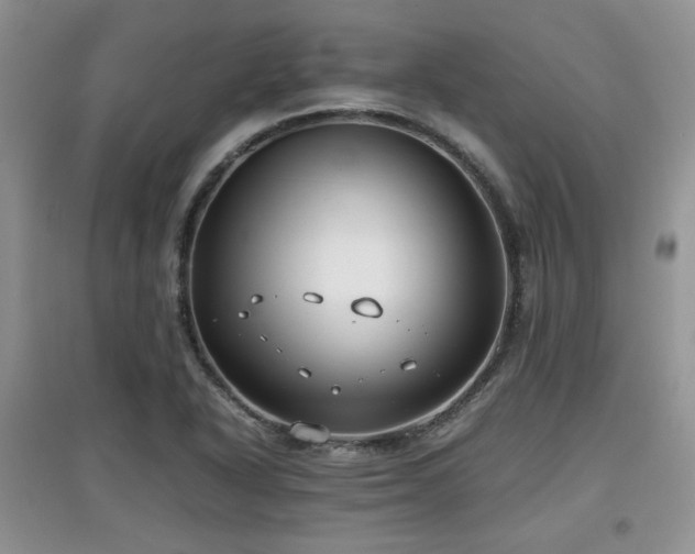 X0000097801318200803141045