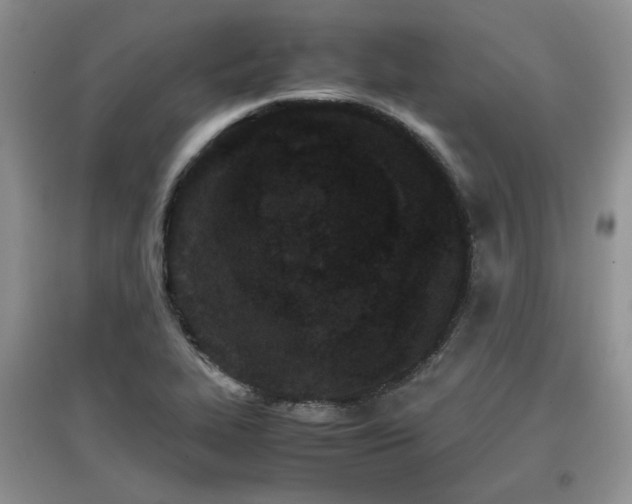 X0000097801319200803141045