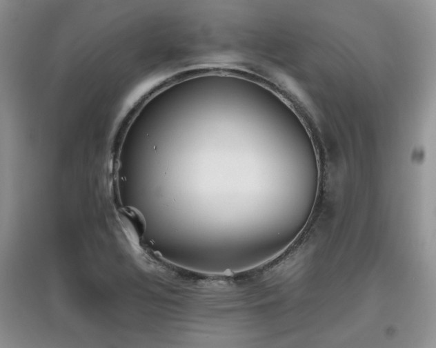 X0000097801320200803141045