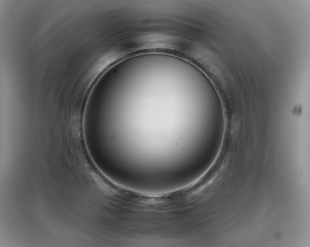 X0000097801321200803141045