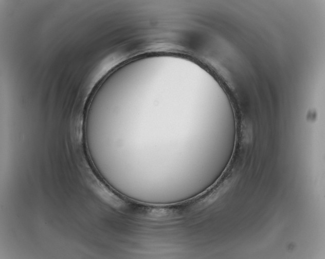 X0000097801322200803141045