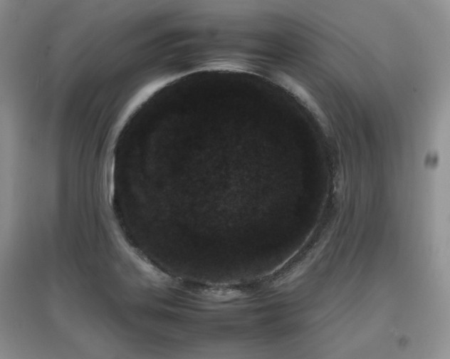 X0000097801323200803141045