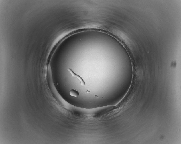 X0000097801324200803141045