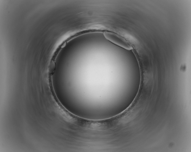 X0000097801326200803141045