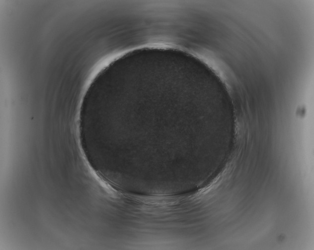 X0000097801327200803141045