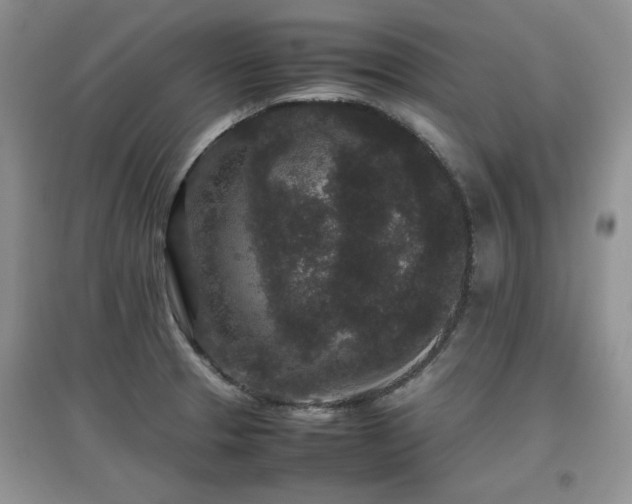 X0000097801329200803141045