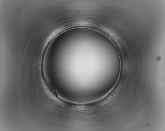 X0000097801330200803141045