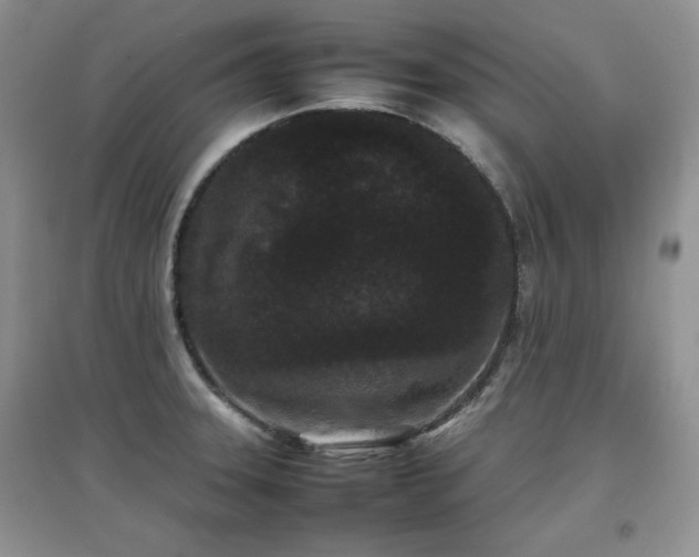 X0000097801331200803141045