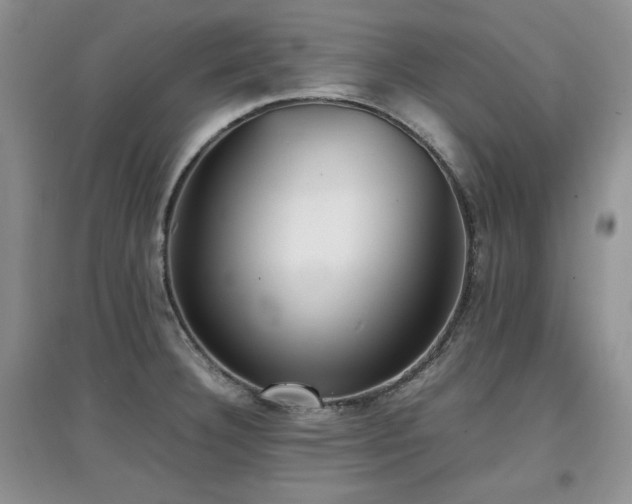 X0000097801332200803141045