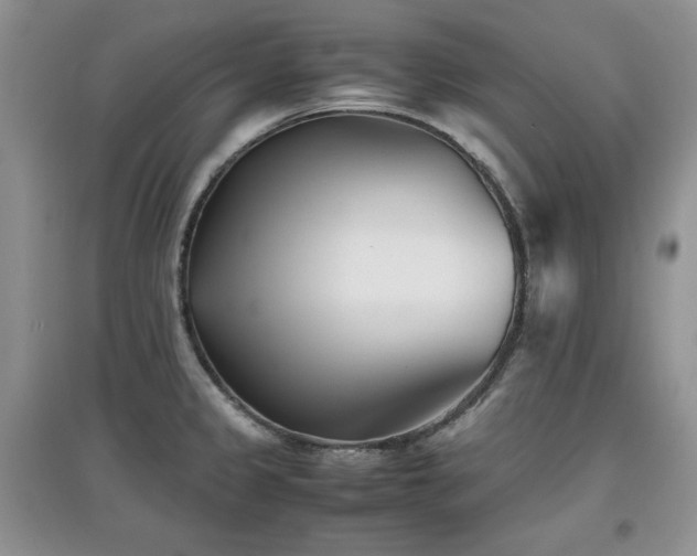 X0000097801333200803141045