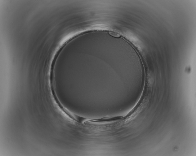 X0000097801334200803141045