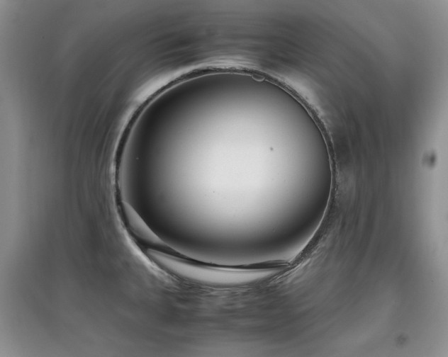 X0000097801335200803141045
