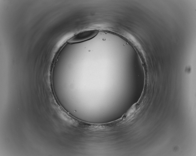 X0000097801336200803141045