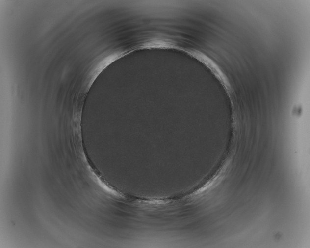 X0000097801337200803141045