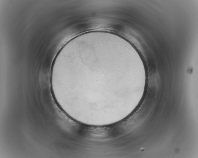 X0000097801338200803141045