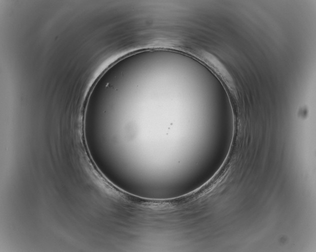 X0000097801340200803141045